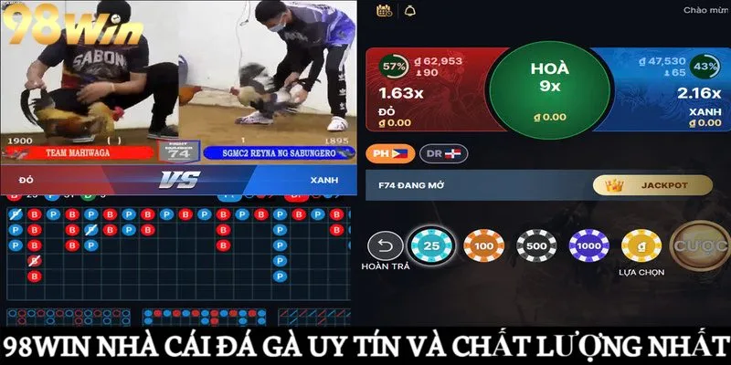 98Win nhà cái đá gà uy tín, chất lượng nhất