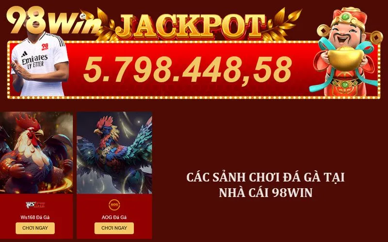 Các sảnh chơi Đá gà thú vị nên thử tại 98Win