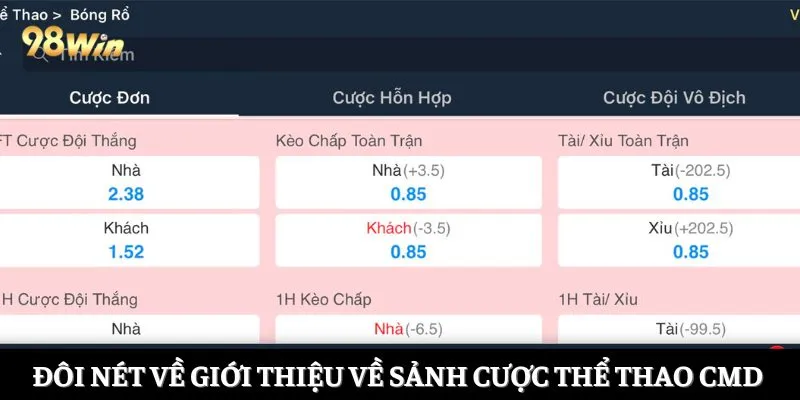 Đôi nét về giới thiệu về sảnh cược thể thao CMD 