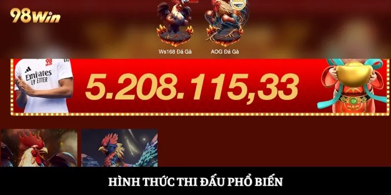 Hình thức thi đấu phổ biến