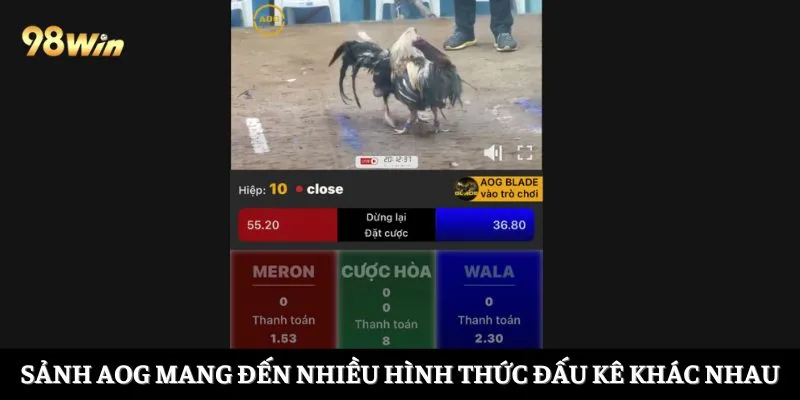 Sảnh AOG mang đến nhiều hình thức đấu kê khác nhau