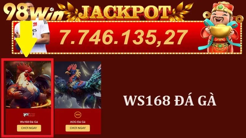 Sảnh Ws168 Đá Gà 98WIN: Trải Nghiệm Đặc Sắc Cho Dân Cá Cược