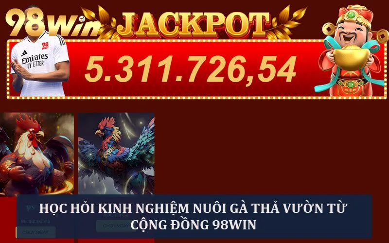 Học hỏi kinh nghiệm nuôi hiệu quả từ chuyên gia 98win