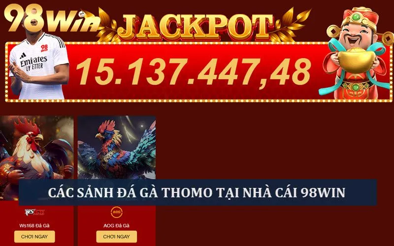 Các sảnh chơi chọi gà Thomo hấp dẫn tại nhà cái 98Win